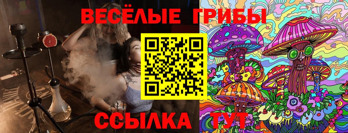 Галлюциногенные грибы Magic Shrooms Юрга